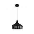 Quoizel Lighting QP6208MBK Keagan 1-Light 100W Matte Black Pendant