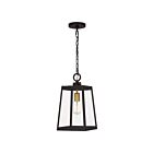 Quoizel Lighting AMBL1908WT 1 Light Western Bronze 100W Amberly Grove Hanging Lantern