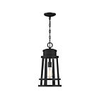 Quoizel Lighting DNM1910EK 1 Light Earth Black 150W Dunham Outdoor Lantern