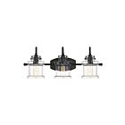 Quoizel Lighting DNY8603EK 3 Lights Earth Black 300W Danbury Bath Light