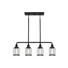 Quoizel Lighting LUD434EK 4 Lights Earth Black 400W Ludlow Island Chandelier