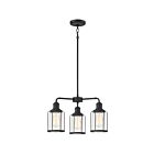 Quoizel Lighting LUD5020EK 3 Lights Earth Black 300W Ludlow Chandelier