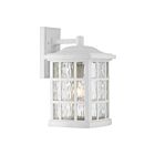 Quoizel Lighting SNN8409W 1 Light White Lustre 100W Stonington Outdoor Lantern