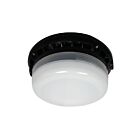 RAB Design CLB2-LED40 42W Bronze LED Canopy Light