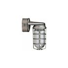 RAB Design DVBKS100CG 100W Vapourproof Fixture