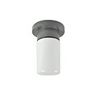 RAB Design RCG100 100W 1-Light Ceiling Mount Fixture