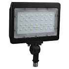 Satco 65-539R1 50W Bronze LED Flood light