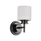 Satco 60-8031 Warren 60W 1-Light Gun Metal Vanity Light