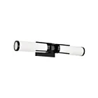 Satco 60-8052 Roselle 60W 2-Lights Matte Black Vanity Light