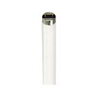 Satco S7633 32W T8 Shatter Proof Tube