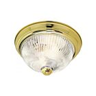 Nuvo Lighting SF76-025 2-Lights 120W Polished Brass Ceiling Flush Mount