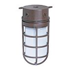 Satco SF76-625 100W Old Bronze Vapor Proof Ceiling Mount