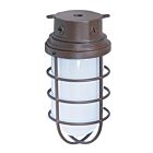 Satco SF76-627 200W Old Bronze Vapor Proof Ceiling Mount