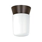 Nuvo Lighting SF77-156 1-Light 60W Bronzotic Flush Mount