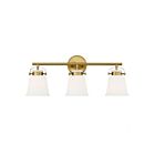 Savoy House Essentials 8-1627-3-322 Kaden 3-Lights 180W Warm Brass Vanity Light