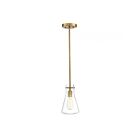 Savoy House Meridian  M70063NB 1-Lights 60W Natural Brass Pendant