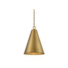 Savoy House Meridian  M70112NB 1-Lights 60W Natural Brass Pendant