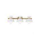 Savoy House Meridian M80075NB 3-Lights 180W Natural Brass Vanity Light