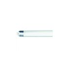 TCP LT812C40K 12W 4' LED Type-C T8 Tube