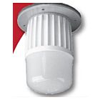TCP RDWHSL Swine Light