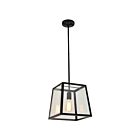 Young Lighting 1170C-M-BK Black 1-Light Pendant