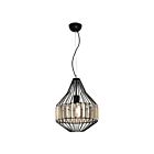 Young Lighting 1178C Black 1-Light Pendant