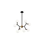 Young Lighting 1375C8 8 Lights Black and Gold Chandelier