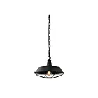 Young Lighting 3002P-M-BK Black 1-Light Pendant