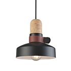 Young Lighting 3057P-BK 1-Light Pendant