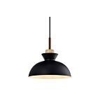 Young Lighting 3059P-BK Black 1-Light Pendant
