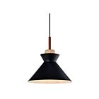 Young Lighting 3060P-BK 1-Light Pendant