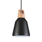 Young Lighting 3062P-BK Black 1-Light Pendant