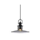Young Lighting 3068P Black 1-Light Pendant
