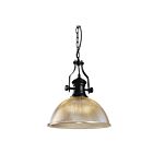 Young Lighting 3069P Black 1-Light Pendant