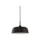 Young Lighting 3073P-BK Black 1-Light Pendant
