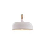 Young Lighting 3073P-WH White 1-Light Pendant