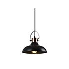 Young Lighting 3085P-BK Black 1-Light Cord Pendant