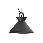 Young Lighting 3102P Black 1-Light Cord Pendant