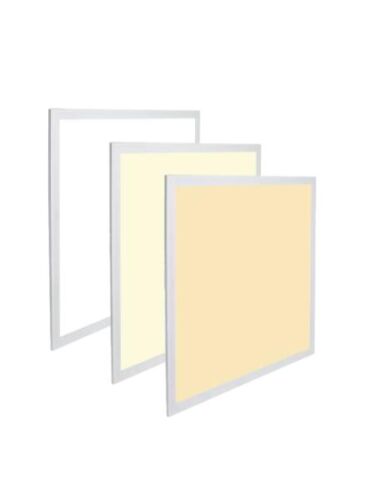 arani_pl22-var-v5