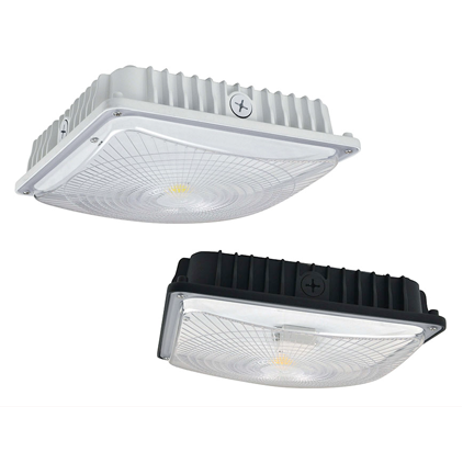 Canopy Lights