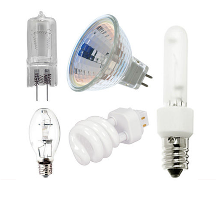 Traditional Bulbs